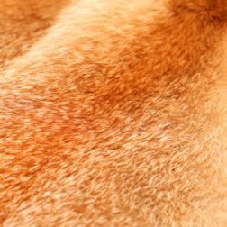 ремонт меховых изделий